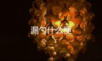  漏勺什么梗